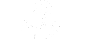 Snake Energy